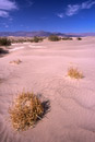 Sand Dunes, Death Valley, Kalifornien