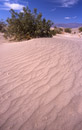 Sand Dunes, Death Valley, Kalifornien