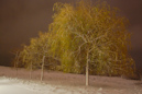 Schneefall in der Nacht