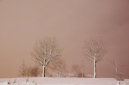 Schneefall in der Nacht