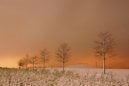 Schneefall in der Nacht