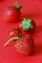 Erdbeeren